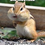 Names for things #2 | BIG-MOUTHED; SQUIRREL | image tagged in memes,chipmunk,funny,big-mouthed squirrel,social expectations squirrel,names for things | made w/ Imgflip meme maker