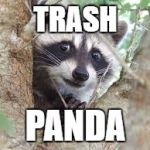 Names for things #3 | TRASH; PANDA | image tagged in memes,racoon problems,funny,racoon,trash panda,names for things | made w/ Imgflip meme maker
