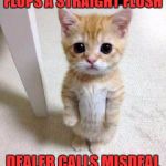Sad Cat | FLOPS A STRAIGHT FLUSH; DEALER CALLS MISDEAL | image tagged in sad cat | made w/ Imgflip meme maker