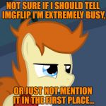 If Anyone Is Wondering, I'll Be Late In Replying To You All, Education Is More Important, The End Of This Semester Approaches... | NOT SURE IF I SHOULD TELL IMGFLIP I'M EXTREMELY BUSY, OR JUST NOT MENTION IT IN THE FIRST PLACE... | image tagged in futurama fry pony | made w/ Imgflip meme maker