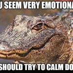 Instagator Alligator  | YOU SEEM VERY EMOTIONAL... YOU SHOULD TRY TO CALM DOWN. | image tagged in instagator alligator | made w/ Imgflip meme maker