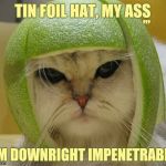 Cat  | TIN FOIL HAT, MY ASS; ,,, I'M DOWNRIGHT IMPENETRABLE | image tagged in cat | made w/ Imgflip meme maker
