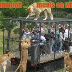 Inspired by a meme of Viperbreath | meals on wheels; Mmmmmmh ... | image tagged in inspired by a meme of viperbreath | made w/ Imgflip meme maker