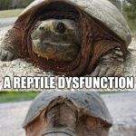 Bad Pun Tortoise | WHAT DO YOU HAVE WHEN YOUR ALLIGATOR DIES; A REPTILE DYSFUNCTION | image tagged in bad pun tortoise | made w/ Imgflip meme maker