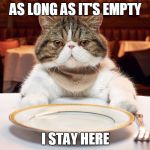 cats hungry | AS LONG AS IT'S EMPTY; I STAY HERE | image tagged in memes,cats | made w/ Imgflip meme maker