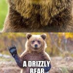BAD PUN BEAR | WHAT DO YOU CALL A BEAR IN THE RAIN; A DRIZZLY BEAR | image tagged in bad pun bear | made w/ Imgflip meme maker