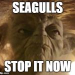 'I said Seagulls! mmgh! Stop it now!' | SEAGULLS; STOP IT NOW | image tagged in angry yoda,bad lip reading,blr | made w/ Imgflip meme maker