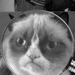Grumpy Cat VS. Sherlock meme