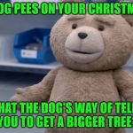 Why Does The Christmas Tree Smell Like Dog Pee? | IF THE DOG PEES ON YOUR CHRISTMAS TREE; IS THAT THE DOG'S WAY OF TELLING YOU TO GET A BIGGER TREE? | image tagged in ted question,dog pee,merry christmas,christmas tree,get a bigger tree,but it's a fake tree | made w/ Imgflip meme maker