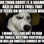 It's okay to feed them, you're words are their to pull they're hair out. | IF YOU THINK ABOUT IT, A GRAMMAR NAZI IS JUST A TROLL THAT ONLY FEEDS ON MISSPELLED WORDS; I WOOD TELL YOU NOT TO FEED THE TROLLS, BUT THIS PARTICULAR KIND HAS AN ENDLESS SOURCE OF FOOD | image tagged in funny dog | made w/ Imgflip meme maker