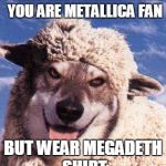 wolf in sheep's clothing | WHAT THEY THINK WHEN YOU ARE METALLICA FAN; BUT WEAR MEGADETH SHIRT | image tagged in wolf in sheep's clothing | made w/ Imgflip meme maker