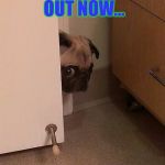 Guilty Pug | CAN I COME OUT NOW... MOMMY | image tagged in guilty pug | made w/ Imgflip meme maker