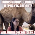 Camel | FOCUS GROUP DECIDED ELEPHANTS ARE OUT! WHAT WILL MILLBROOK DECIDE ON DEC 7? | image tagged in camel | made w/ Imgflip meme maker