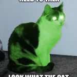 Hypno Raycat | HUMAN WE NEED TO TALK; LOOK WHAT THE CAT FOOD HAS DONE TO ME | image tagged in hypno raycat | made w/ Imgflip meme maker