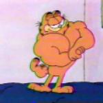 Muscular Garfield the Cat meme