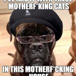 Samuel L Dogson | I'VE HAD IT WITH THESE MOTHERF*KING CATS; IN THIS MOTHERF*CKING HOUSE | image tagged in samuel l dogson | made w/ Imgflip meme maker