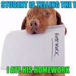 Dog Ate Homework | YOUR STUDENT IS TELLING THE TRUTH; I ATE HIS HOMEWORK | image tagged in dog ate homework | made w/ Imgflip meme maker