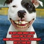 PIt Bull Smile | I'M NOT SURE WHAT POST  CAUSED ME TO LOSE 2 MORE FACEBOOK FRIENDS YESTERDAY, BUT IF I FIND OUT WHICH ONE IT WAS I WILL MAKE SURE TO POST IT AGAIN.... | image tagged in pit bull smile | made w/ Imgflip meme maker