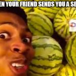 Watermelon | WHEN YOUR FRIEND SENDS YOU A SELFIE | image tagged in watermelon | made w/ Imgflip meme maker