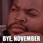 Bye Felicia | BYE, NOVEMBER | image tagged in bye felicia | made w/ Imgflip meme maker