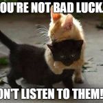 Kitten Hugs | YOU'RE NOT BAD LUCK... DON'T LISTEN TO THEM!!!! | image tagged in memes,kittens | made w/ Imgflip meme maker