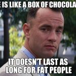 Life is like a box of chocolates | LIFE IS LIKE A BOX OF CHOCOLATES; IT DOESN'T LAST AS LONG FOR FAT PEOPLE | image tagged in life is like a box of chocolates | made w/ Imgflip meme maker