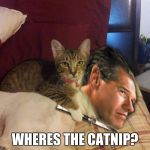 Cat Brian Williams & Knife | WHERES THE CATNIP? | image tagged in cat brian williams  knife,cats,memes | made w/ Imgflip meme maker