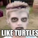 I like turtles | I LIKE TURTLES. | image tagged in i like turtles | made w/ Imgflip meme maker