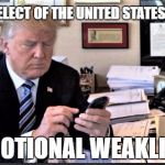 Emotional Weakling | PRESIDENT-ELECT OF THE UNITED STATES OF AMERICA; EMOTIONAL WEAKLING | image tagged in emotional weakling | made w/ Imgflip meme maker