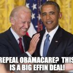 Biden Obama | REPEAL OBAMACARE?  THIS IS A BIG EFFIN DEAL! | image tagged in biden obama | made w/ Imgflip meme maker