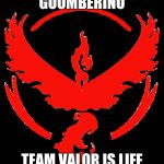 Team Valor | GOOMBERINO; TEAM VALOR IS LIFE | made w/ Imgflip meme maker