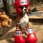 bamboozled again | you thot i is boxer; but i is boxer doggo! bamboozled agin | image tagged in boxerdoggo,funny,doggo,memes | made w/ Imgflip meme maker