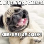 Happy Dog | I'M NOT ALWAYS A SMART ASS; SOMETIME I AM ASLEEP! | image tagged in happy dog | made w/ Imgflip meme maker