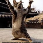 kung fu kitten | THIS IS HOW YOU LOOK LIKE; WHEN THERE IS A NEW KUNGFU PANDA MOVIE COMING OUT | image tagged in kung fu kitten | made w/ Imgflip meme maker