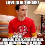 Sheldon Cooper | LOVE IS IN THE AIR! WRONG!                    
NITROGEN, OXYGEN, CARBON DIOXIDE, AND WATER VAPOR ARE IN THE AIR. | image tagged in sheldon cooper | made w/ Imgflip meme maker