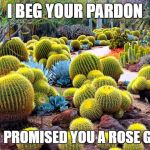 I beg your cactus garden | I BEG YOUR PARDON; I NEVER PROMISED YOU A ROSE GARDEN | image tagged in cactus garden,cactus,garden | made w/ Imgflip meme maker