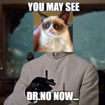 Dr. No  | YOU MAY SEE; DR.NO NOW... | image tagged in drno,meme | made w/ Imgflip meme maker