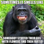Keep Smiling | SOMETIMES IT SMELLS LIKE; SOMEBODY STUFFED THEIR ASS WITH FLOWERS AND THEN FARTED | image tagged in keep smiling | made w/ Imgflip meme maker