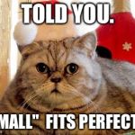 Christmas Cat | TOLD YOU. "SMALL"  FITS PERFECTLY. | image tagged in christmas cat | made w/ Imgflip meme maker