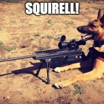 Sniper Dog | SQUIRELL! | image tagged in sniper dog,funny,funny memes,memes,dogs | made w/ Imgflip meme maker