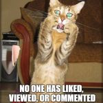 help | I'M SCARED..WHY? NO ONE HAS LIKED, VIEWED, OR COMMENTED ON MY PICTURE! PLEASE DO! | image tagged in scaredy cat | made w/ Imgflip meme maker