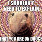 Drugs  | I SHOULDN'T NEED TO EXPLAIN; THAT YOU ARE ON DRUGS | image tagged in drugs | made w/ Imgflip meme maker