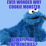 Cookie Monster Smokes Pipe | EVER WONDER WHY COOKIE MONSTER; ALWAYS HAS THE MUNCHIES? | image tagged in cookie monster smokes pipe | made w/ Imgflip meme maker