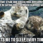 otters | THAT STEAK AND CHEESE WAS AWESOME!  WE'RE EATING WAY TOO MUCH SEAFOOD, JAKE. PUTS ME TO SLEEP EVERY TIME!! | image tagged in otters | made w/ Imgflip meme maker