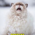 Snow Cat | TRUST ME ON THIS; DON'T EAT YELLOW SNOW! | image tagged in snow cat | made w/ Imgflip meme maker