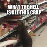 Grinch Beaver | WTF BOB? FAKE TREES, BOB? WHAT THE HELL IS ALL THIS CRAP; I AM NOT IMPRESSED | image tagged in grinch beaver | made w/ Imgflip meme maker