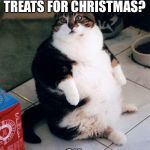 fat cat | YOU WERE SAVING THOSE TREATS FOR CHRISTMAS? OH. | image tagged in fat cat | made w/ Imgflip meme maker