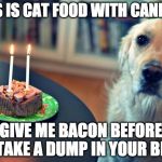 His birthday was pretty ruff. | THIS IS CAT FOOD WITH CANDLES; GIVE ME BACON BEFORE I TAKE A DUMP IN YOUR BED | image tagged in sad birthday dog,cat food,dog,birthday,bacon,dump | made w/ Imgflip meme maker