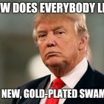 Drumpf Treason | HOW DOES EVERYBODY LIKE; MY NEW, GOLD-PLATED SWAMP? | image tagged in drumpf treason,memes,congratulations you played yourself | made w/ Imgflip meme maker