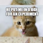 Bad Pun Cat | MY HOOMAN WAS ERWIN SCHRÖDINGER; HE PUT ME IN A BOX FOR AN EXPERIMENT; I WAS SCARED HALF DEAD | image tagged in bad pun cat,meme,schrodinger,schrodingers cat,cat | made w/ Imgflip meme maker